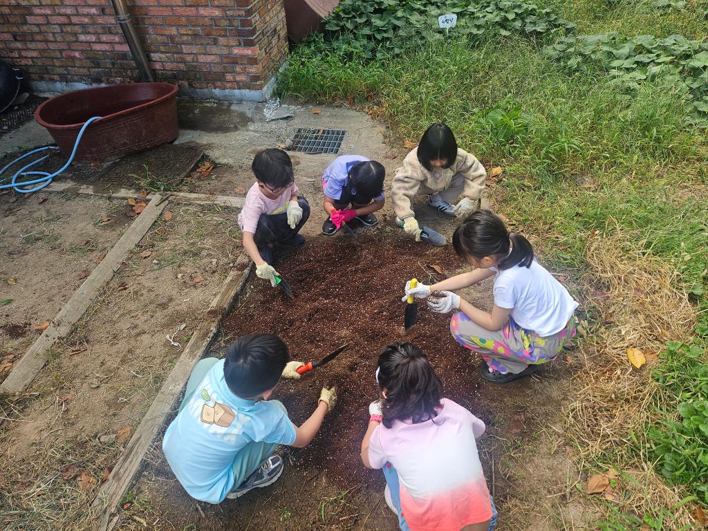 2026. 9월 텃밭활동(시금치 심기)